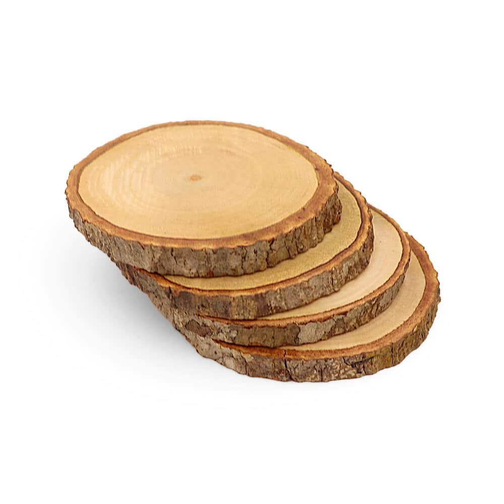 Dessous de Verre en Bois, quatre rondelles de bois brut à écorce empilées en éventail sur fond blanc